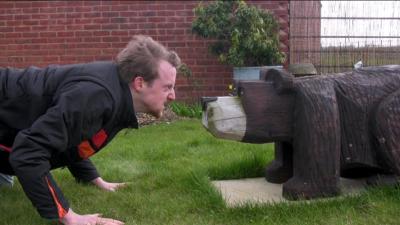 Stare Bear thumbnail